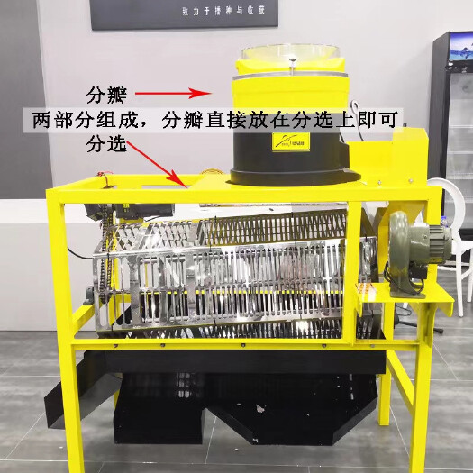 霸州市大蒜加工设备 2022新款大蒜分瓣分选机不伤蒜破瓣机