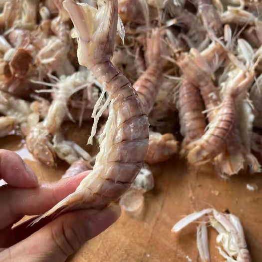 北海活煮皮皮虾中虾27，大虾38