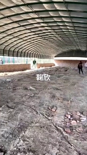 沭阳县种植大棚 东北养牛专用大棚各位保温大棚