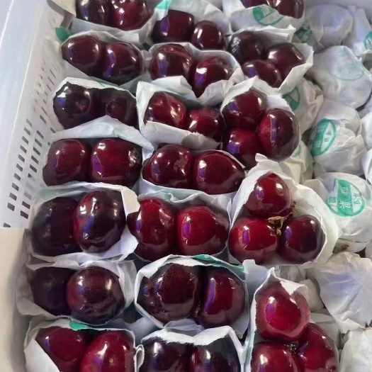汉源县 汉源大樱桃