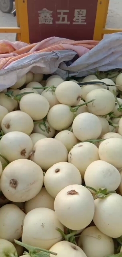 伊丽莎白甜瓜