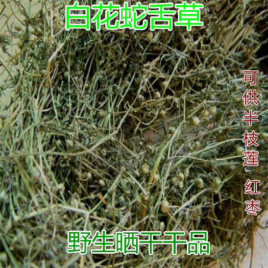 玉林大山中草药材白花蛇舌草 蛇舌草 舌尖草 全草干品无硫无提取