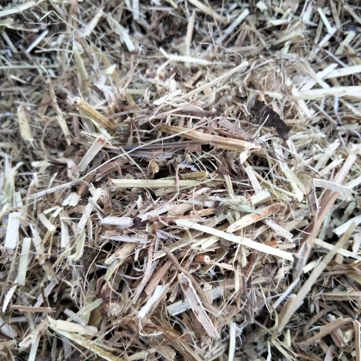 泌阳县 花生秧草料