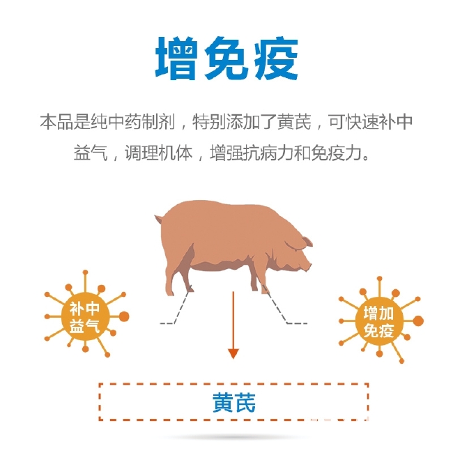 板青颗粒猪牛羊鸡鸭鹅用抗病毒预防疾病，可拌料，可兑水