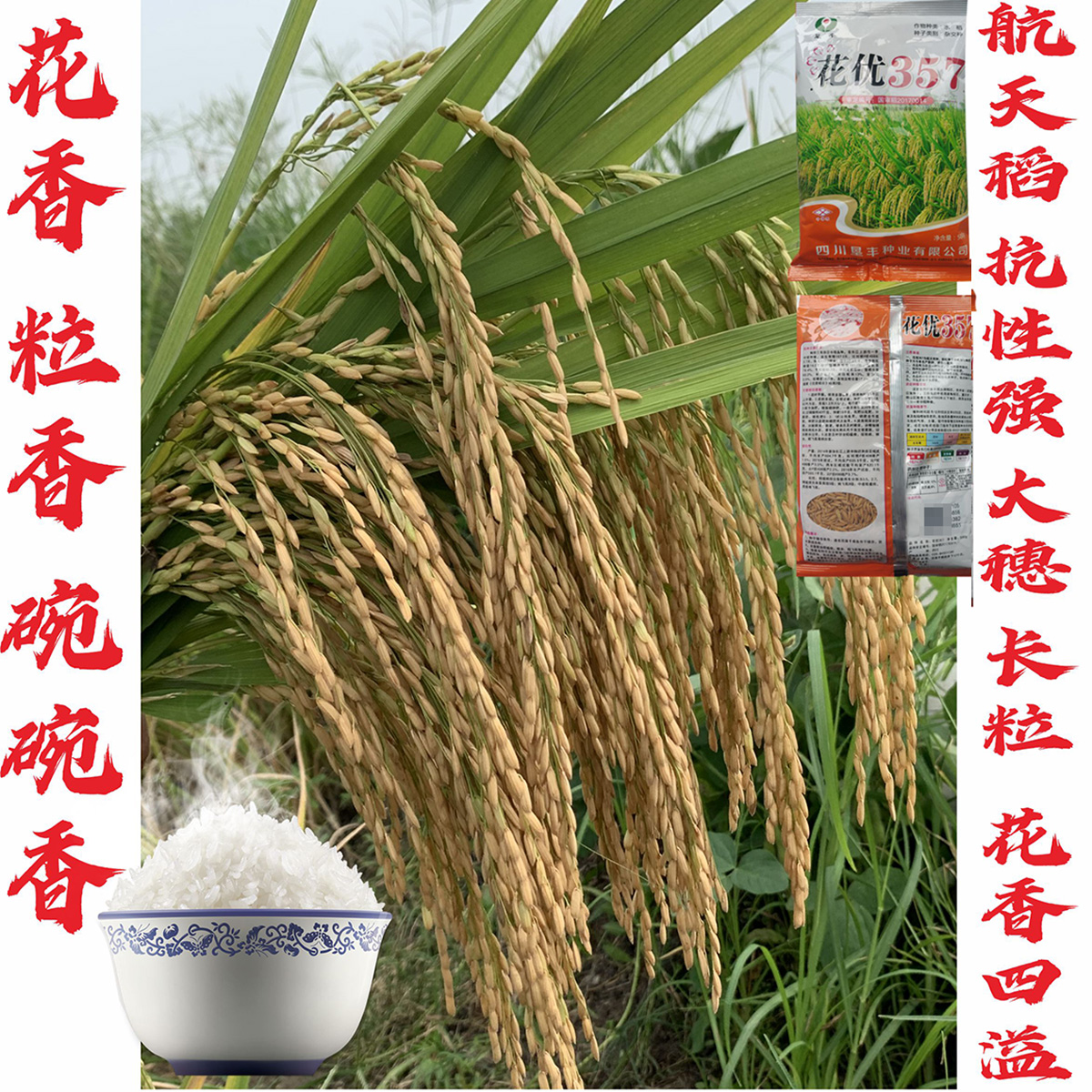 航天水稻种子抗性强高产米质优长粒米杂交水稻种子稻谷种子