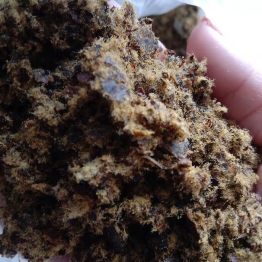 石家庄棉粕 棉籽粕。