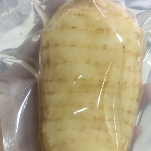 留坝县真空鲜天麻三到五个一斤，五到八个一斤，三个一斤，八到十个，