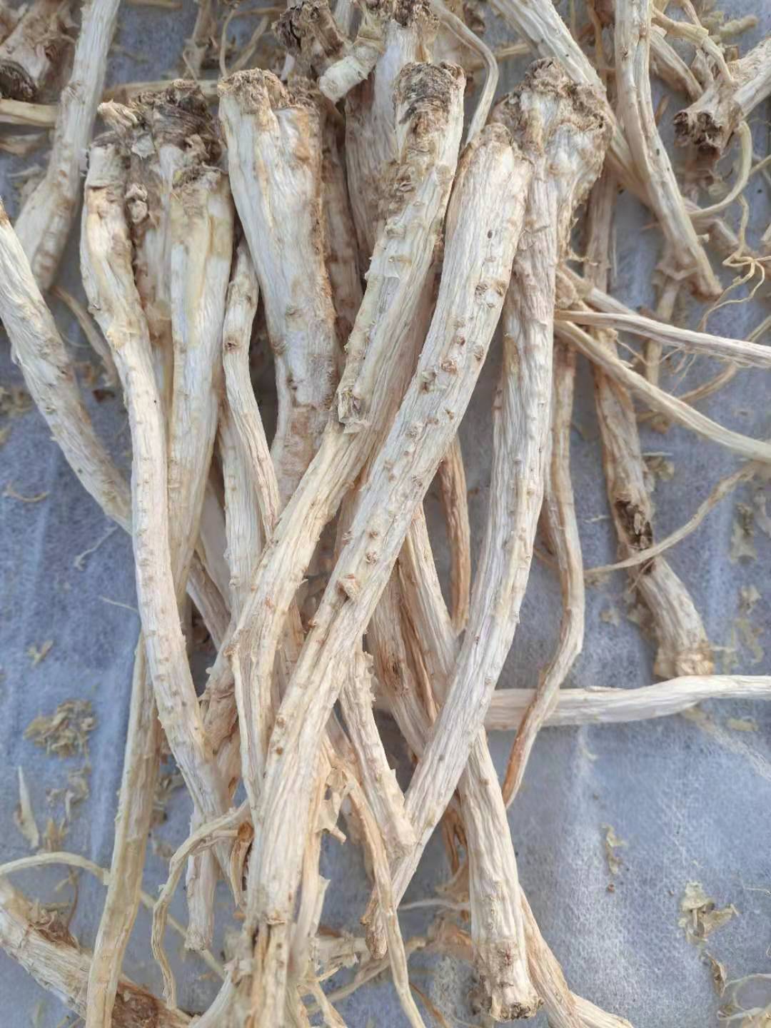 桔梗的价格与市场前景(桔梗的价格与市场前景有关吗)