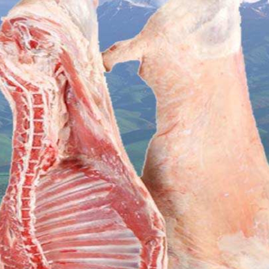  新疆羊肉