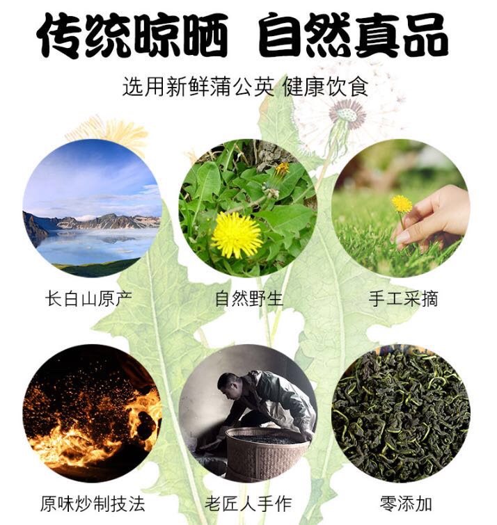 蒲公英茶 蒲公英100g/瓶