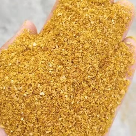 石家庄 玉米酒糟，蛋白24，脂肪8。