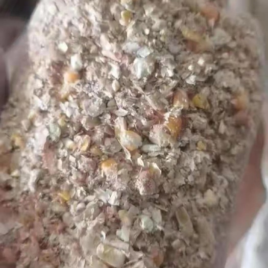 石家庄禾谷饲料 东北烘干碎玉米