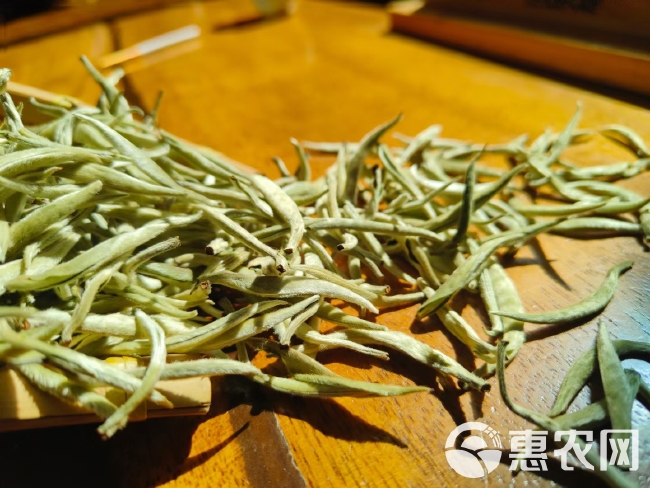 云南白毫银针茶春茶 普洱绿茶单芽月光白茶月美人白茶批发价包邮