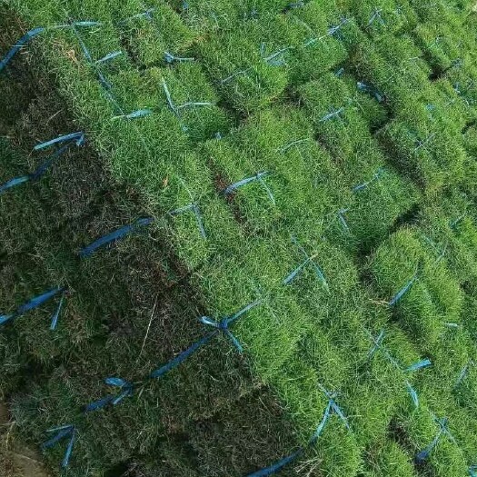 四会市 大量出售草