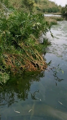 贵州十大功劳