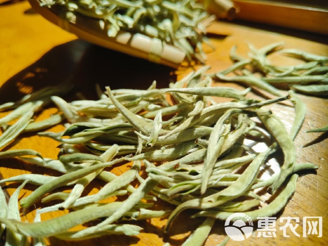 云南白毫银针茶春茶 普洱绿茶单芽月光白茶月美人白茶批发价包邮