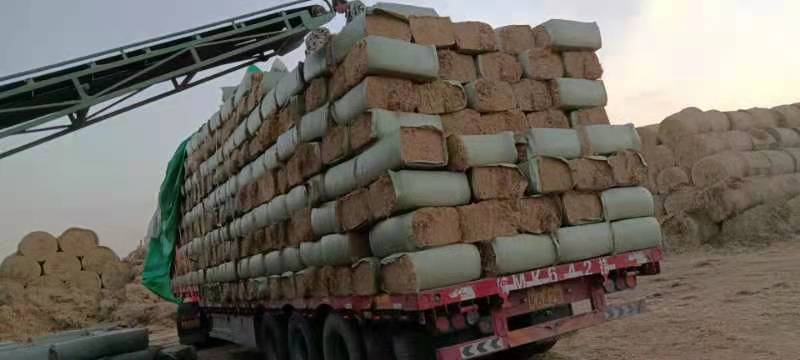 天长市 稻草秸秆饲料