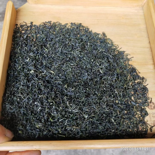 沐川县毛尖茶 高山绿茶