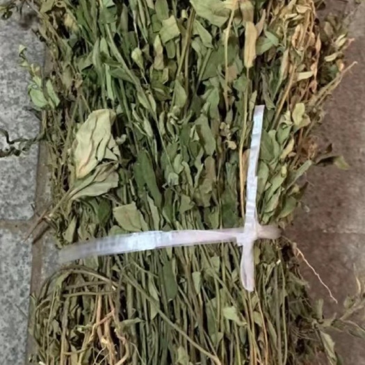 长期供应｛金不换｝可批量可零售量大从优【包邮】