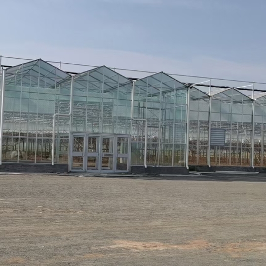 德州种植大棚 安徽省建设各种智能温室大棚