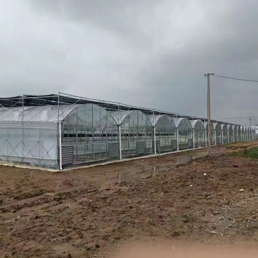 德州种植大棚 山西省建设各种智能温室大棚