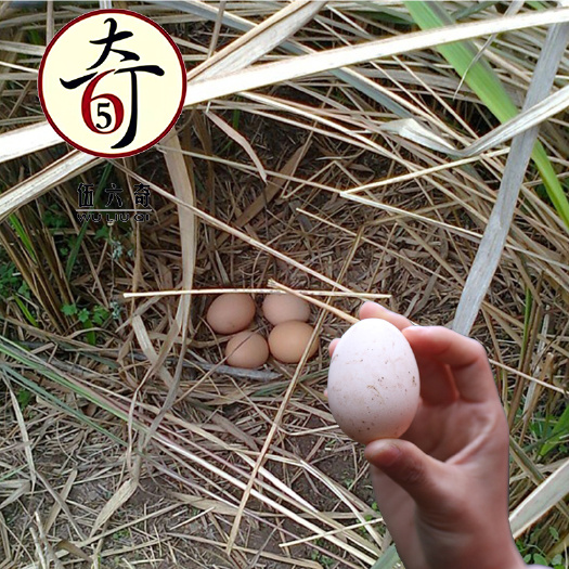 重庆市伍六奇土鸡蛋