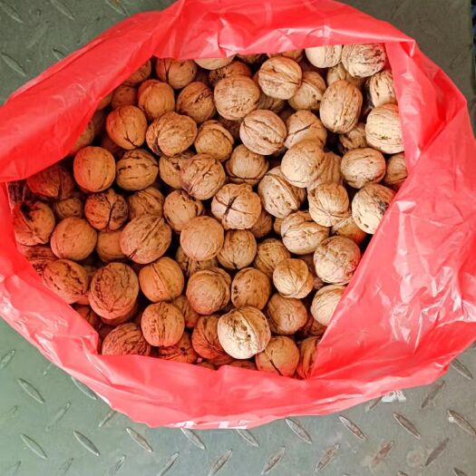 丹凤县陕西老品种薄皮核桃