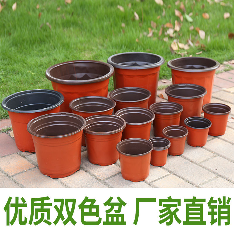 营养钵/营养杯 一次性育苗盆双色盆营养钵塑料简易花盆软塑料育