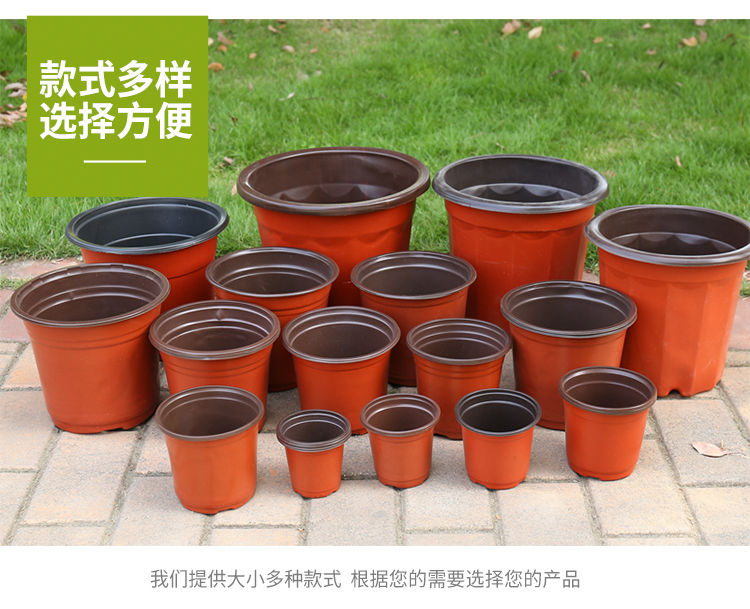 营养钵/营养杯 一次性育苗盆双色盆营养钵塑料简易花盆软塑料育