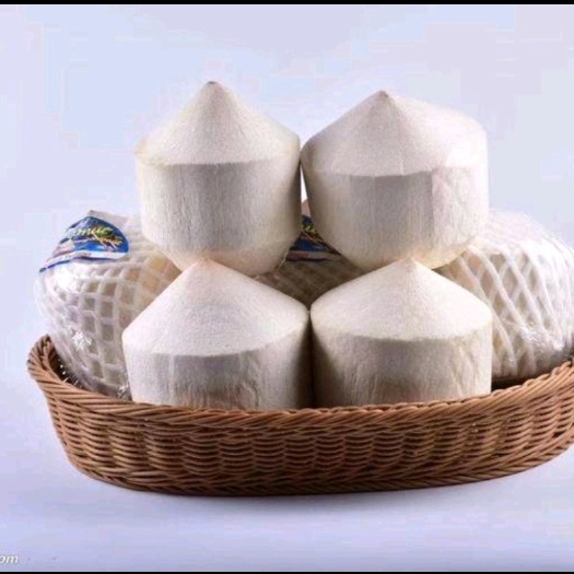 海口 椰子 精选优质椰青果.9个装