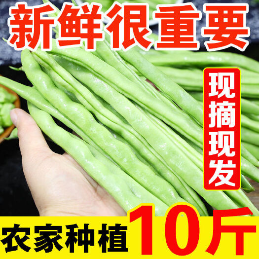 昆明白条豆角  批发新鲜四季豆白芸豆角农家自种大量批发