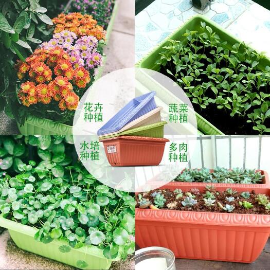 整件批发阳台盆景蔬菜种植盆室内长条大花盆种菜塑料花盆韭菜盆