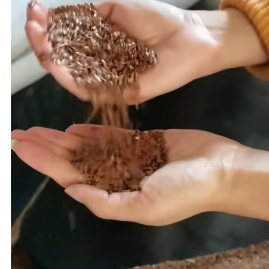 牙克石市胡麻籽 胡麻种子