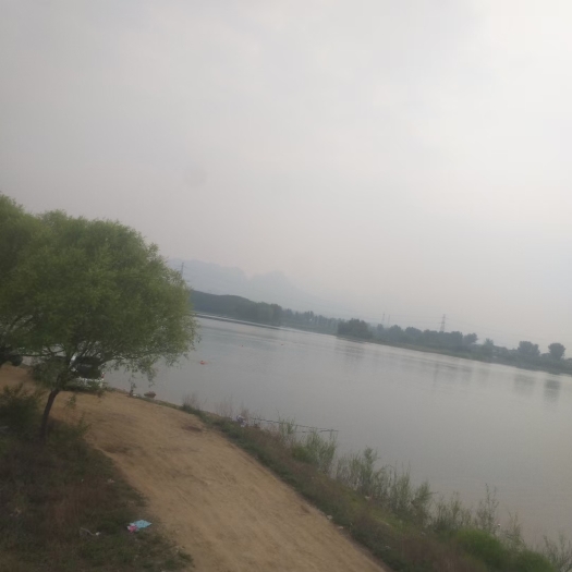 雄安新区西部易县水库邻水生态农场山地林地200亩出租出让