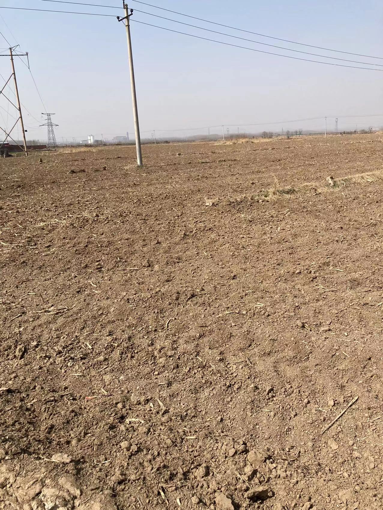  水浇地800亩，水电路三通，土地肥沃，有意者速联系