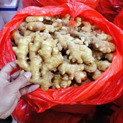 沂水县山东沂水小黄姜