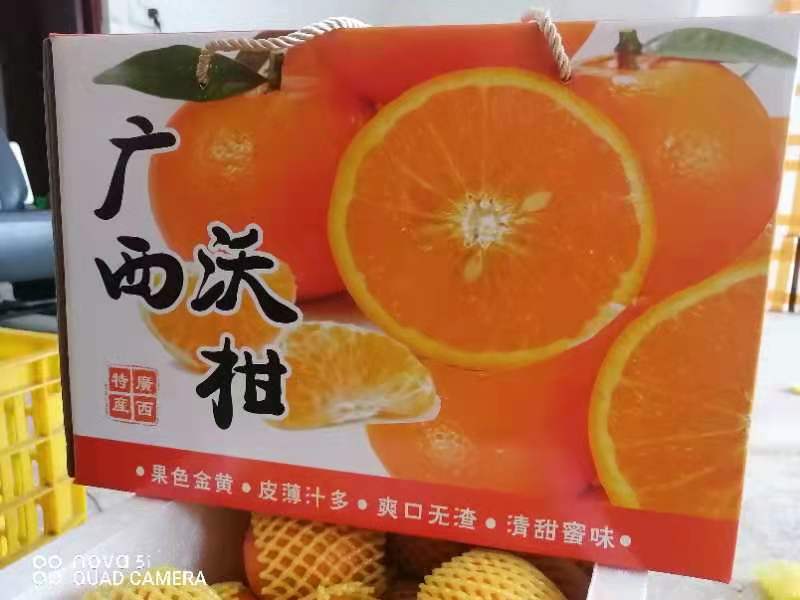 沃柑精品礼盒装