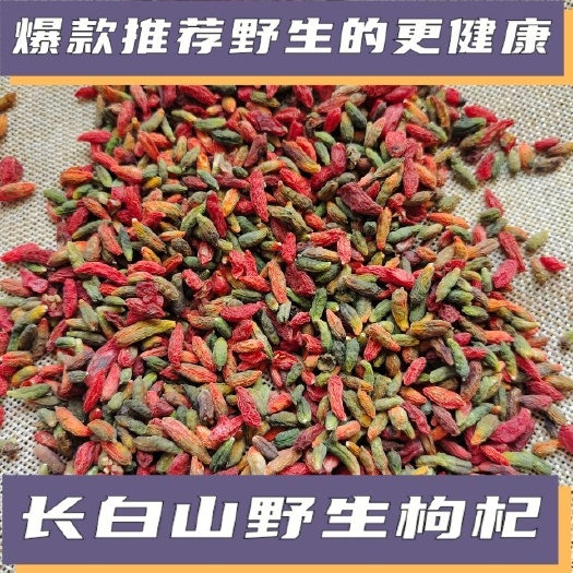 抚松县红枸杞  长白山一手货源，批发零售枸杞，支持一件代发