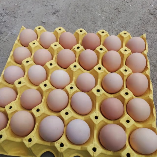 高品质加香富硒土鸡蛋，精选粉壳农家山林散养蛋，质优价廉