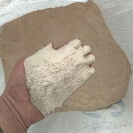 蚌埠次粉 鸡鸭鹅猪专用 优质次粉 小麦次粉