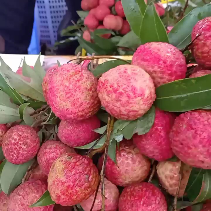 岭南佳果甲天下，荔枝香飘千万家，糯米糍