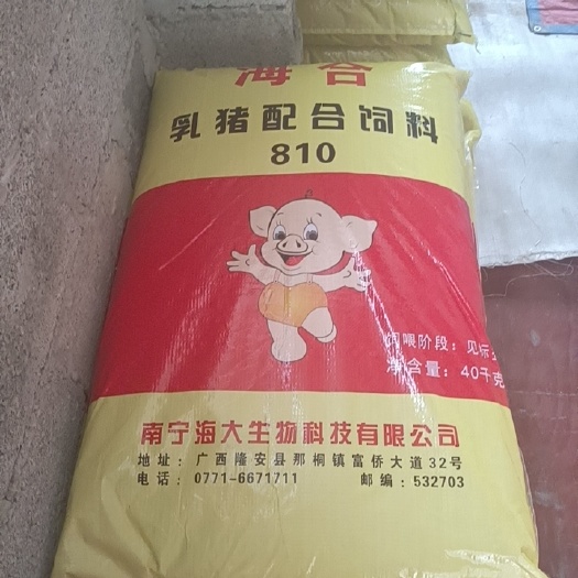 隆安县浓缩料 断奶乳猪配合饲料