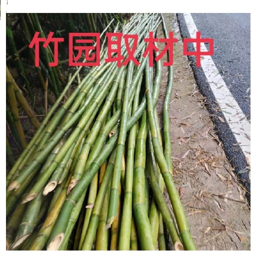 箭竹攒竹竹编用竹竹子高节竹