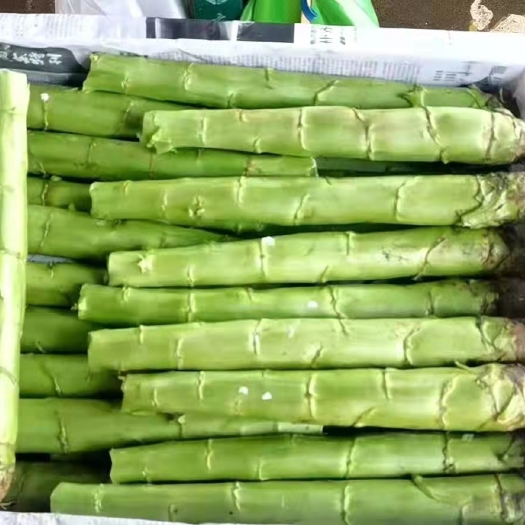 彭州市三青莴笋 四川精品三青杆子