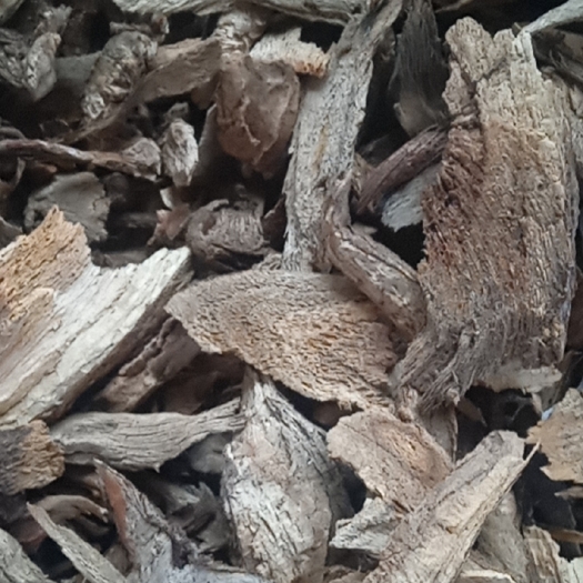博落回根  三钱三 批发零售 可切片
