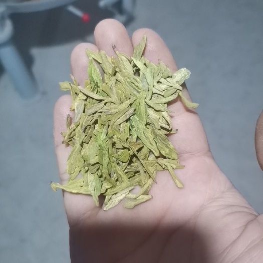 三江县黄金茶 黄金芽
