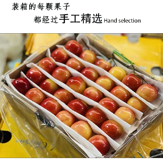 潍坊山东黄樱桃露天黄水晶黄色黄蜜黄金车厘子斤水果新鲜烟台大樱桃