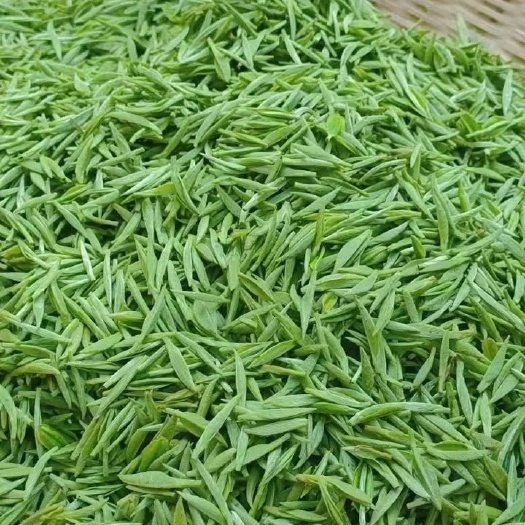 贵阳雀舌茶  高端特级雀舌茶