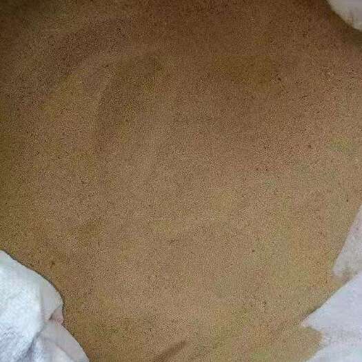 石家庄 黄粉虫  虫沙