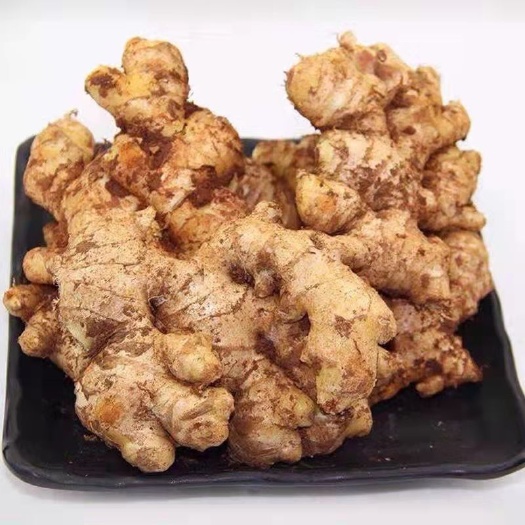 靖西市大黄姜